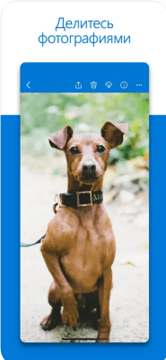 Скриншот приложения Microsoft OneDrive - №3