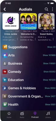Скриншот приложения Audials Radio & Podcast - №3