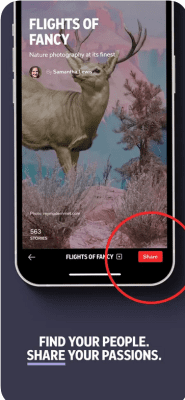 Скриншот приложения Flipboard - №5