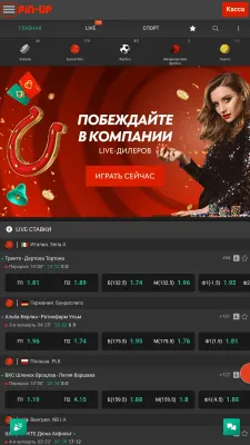 Скриншот приложения Pin Up - №4