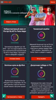 Скриншот приложения Pin Up - №6