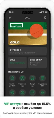 Скриншот приложения Лига Ставок - №7