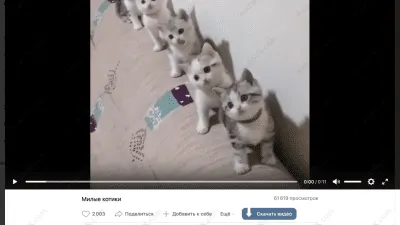 Скриншот приложения VKSaver - №3