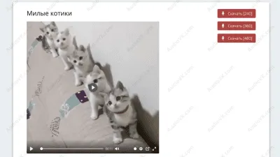 Скриншот приложения VKSaver - №6