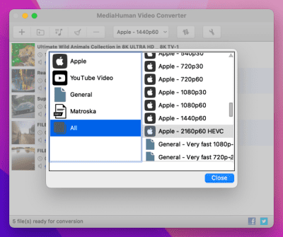Скриншот приложения MediaHuman Video Converter для Mac - №2