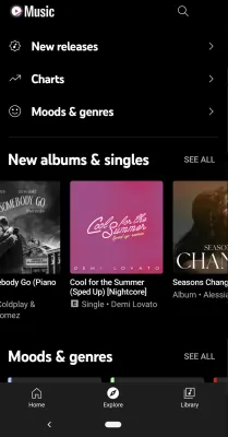 Скриншот приложения Vanced Music - №5