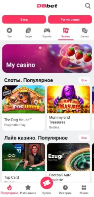 Скриншот приложения DBbet скачать на Android - №4