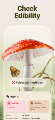 Скриншот приложения Mushroom ID - №3