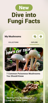 Скриншот приложения Mushroom ID - №4