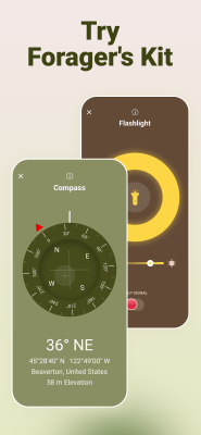 Скриншот приложения Mushroom ID - №5