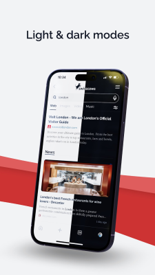 Скриншот приложения Swisscows Private Search - №4