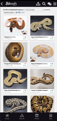 Скриншот приложения MorphMarket - №3