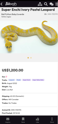 Скриншот приложения MorphMarket - №4