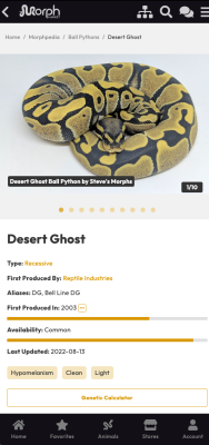 Скриншот приложения MorphMarket - №8