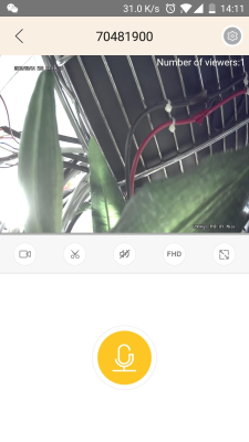 Скриншот приложения LiveYes - №4