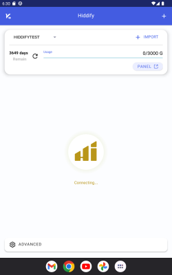 Скриншот приложения HiddifyNG - №6