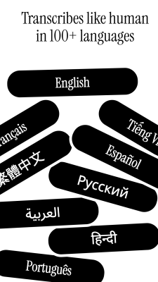 Скриншот приложения Voicenotes - №5