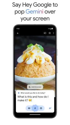 Скриншот приложения Gemini - №8