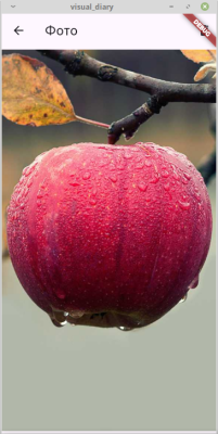 Скриншот приложения Визуальный дневник - №5