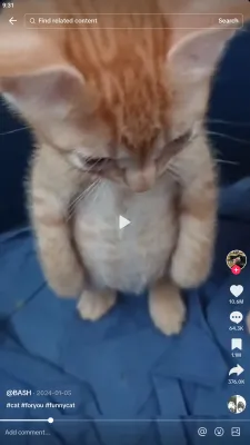 Скриншот приложения JTikTok - №3