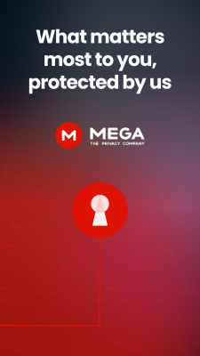 Скриншот приложения MEGA Pass Password Manager - №7