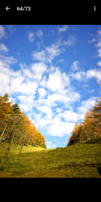 Скриншот приложения NIKON IMAGE SPACE - №5