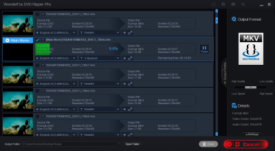 Скриншот приложения WonderFox DVD Ripper Pro - №8