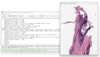 Скриншот приложения AlgART TIFF Information Viewer - №1