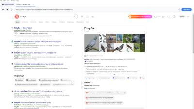 Скриншот приложения Pigeon Browser - №2