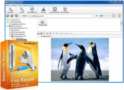 Скриншот приложения Starus File Repair - №1
