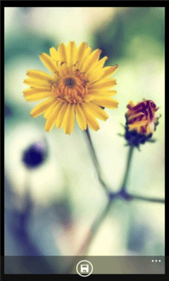 Скриншот приложения Flower Wallpapers - №3