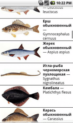 Скриншот приложения Рыбалка для начинающих - №7