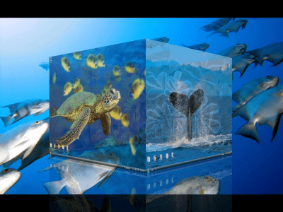 Скриншот приложения DeskSpace - №3