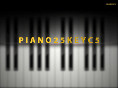 Скриншот приложения PIANO 25KEY C5 - №2