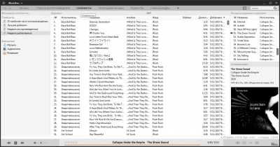 Скриншот приложения MusicBee Portable - №5