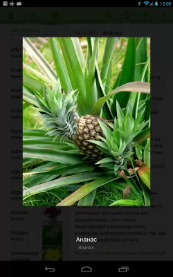 Скриншот приложения Цветовод - ваши цветы довольны - №19