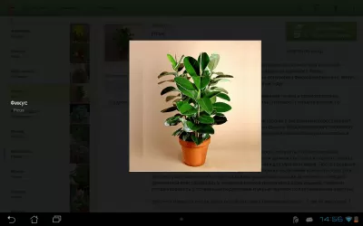 Скриншот приложения Цветовод - ваши цветы довольны - №20