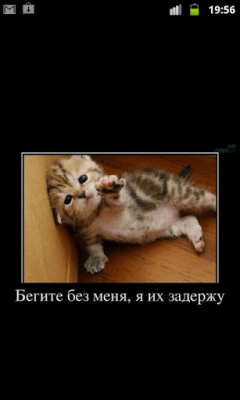 Скриншот приложения Смешные картинки и видео - №3