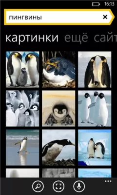 Скриншот приложения Яндекс Поиск - №6