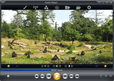 Скриншот приложения Zoom Player Home Pro - №1