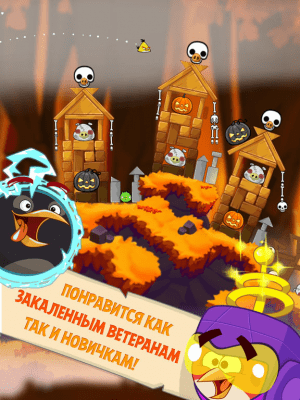 Скриншот приложения Angry Birds Seasons HD - №5