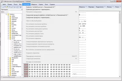 Скриншот приложения EmEditor Portable - №1