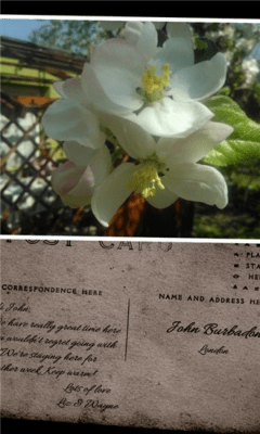 Скриншот приложения Postcards - №4