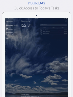 Скриншот приложения Organize:Pro for iPad - №3