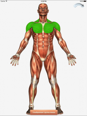 Скриншот приложения 101+ упражнений по фитнесу  Free - №3