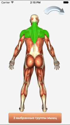 Скриншот приложения 101+ упражнений по фитнесу  Free - №7