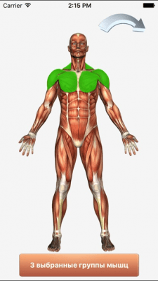 Скриншот приложения 101+ упражнений по фитнесу  Free - №8