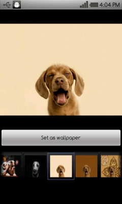 Скриншот приложения Beautiful dog wallpapers - №2