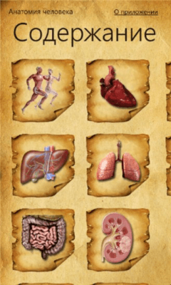 Скриншот приложения Анатомия человека - №6