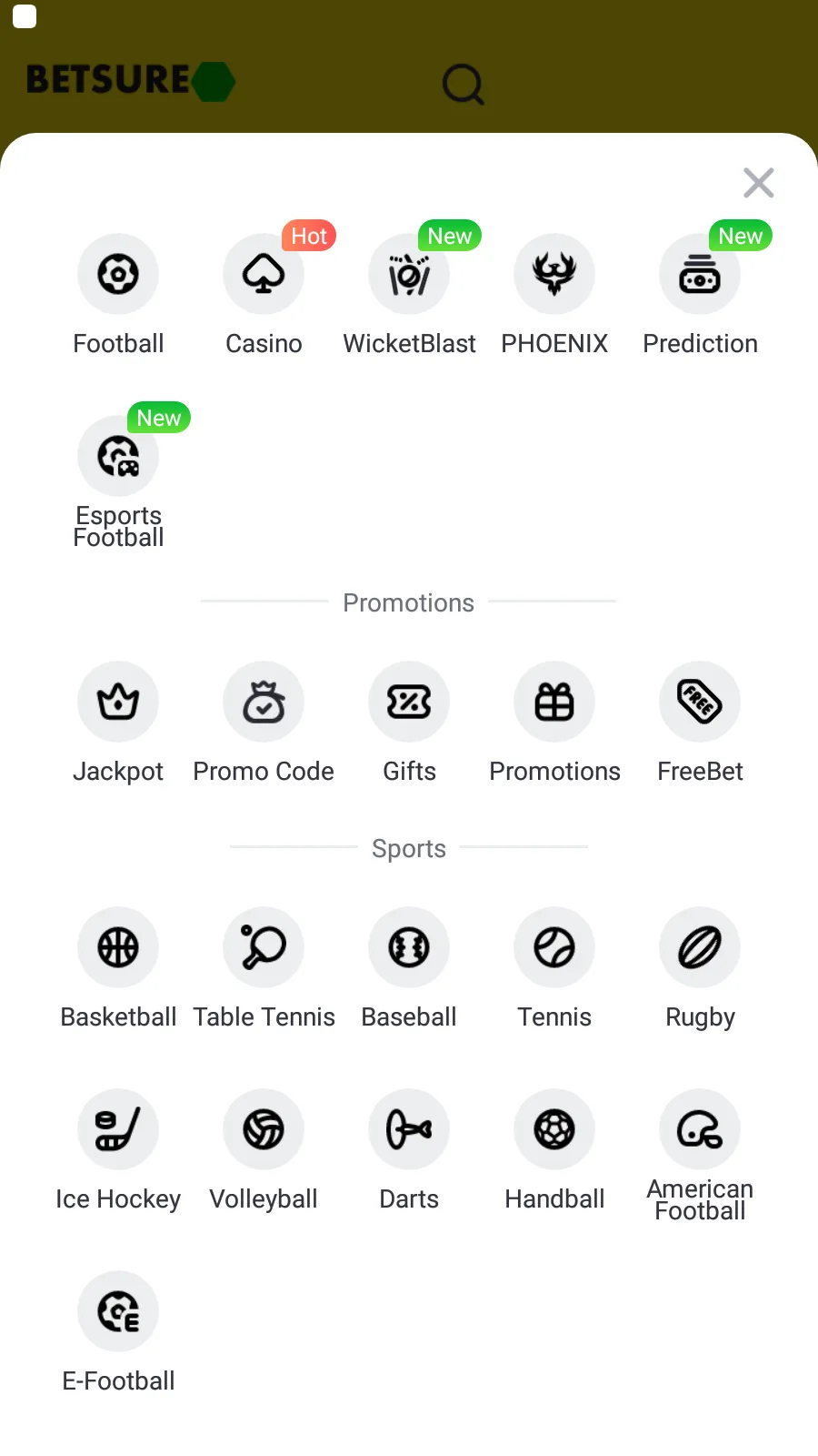 The app makes it easy to pick the desired sports discipline